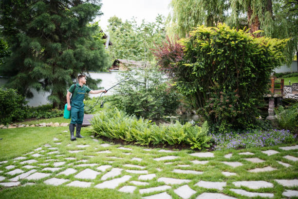 Best Pest Prevention Services  in Carrollton, MO